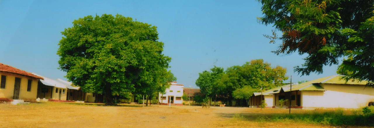Collage Campus